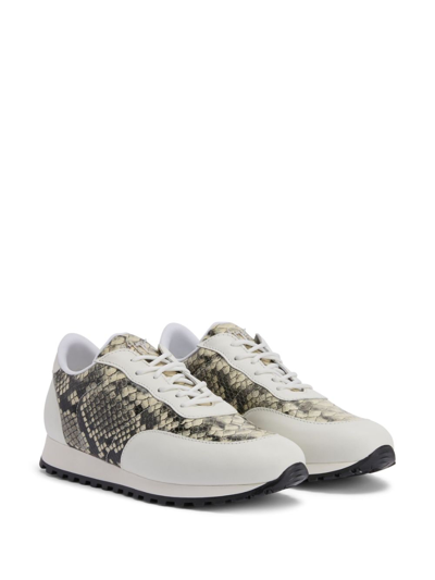 Giuseppe Zanotti Jimi Running Python-print Sneakers In Neutrals