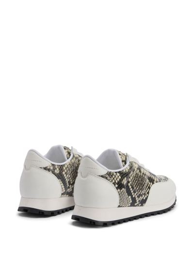 Giuseppe Zanotti Jimi Running Python-print Sneakers In Neutrals