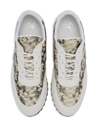 Giuseppe Zanotti Jimi Running Python-print Sneakers In Neutrals