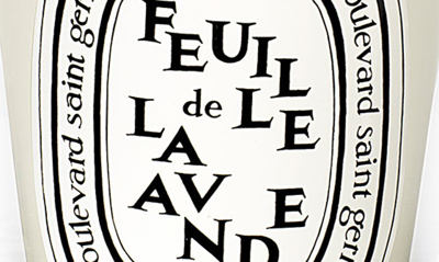 Shop Diptyque Feulle De Lavande (lavender Leaf) Scented Candle