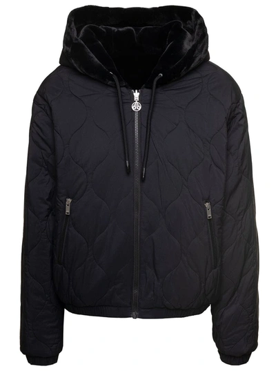 Shop Moose Knuckles Quilted Eaton Bunny In Black