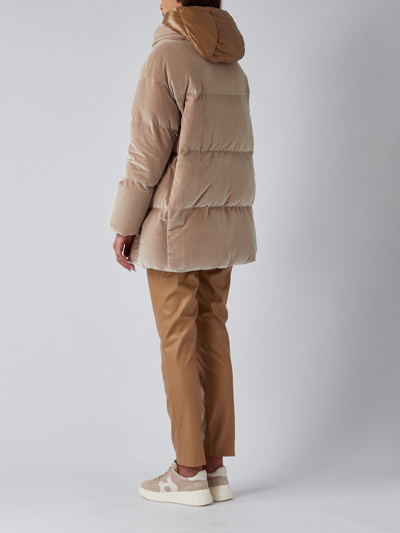 Shop Herno Giaccone Colour Velvet Jacket In Sabbia