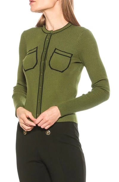 Shop Alexia Admor Clover Ribbed Knit Button Down Cardigan In Sage