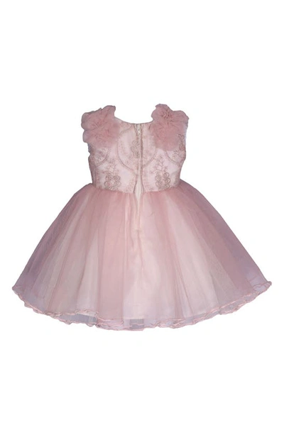 Shop Gerson & Gerson Kids' Embroidered Tulle Ballerina Dress In Blush