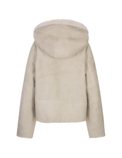 Shop Andrea Adamo Andreādamo Short Reversible Jacket In Taupe Shearling In Grey