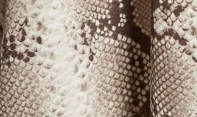 Shop Michael Kors Python Print Silk Crêpe De Chine Dress In Taupe Multi
