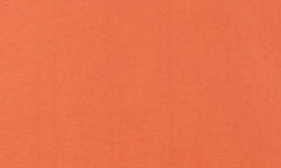Cult Of Individuality Paintbrush Shimuchan Logo Graphic T-shirt In Rust