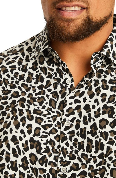 Shop Johnny Bigg Chance Regular Fit Animal Print Short Sleeve Button-up Shirt In White