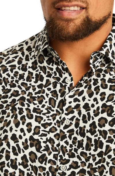 Johnny Bigg Chance Regular Fit Animal Print Short Sleeve Button-up Shirt In White