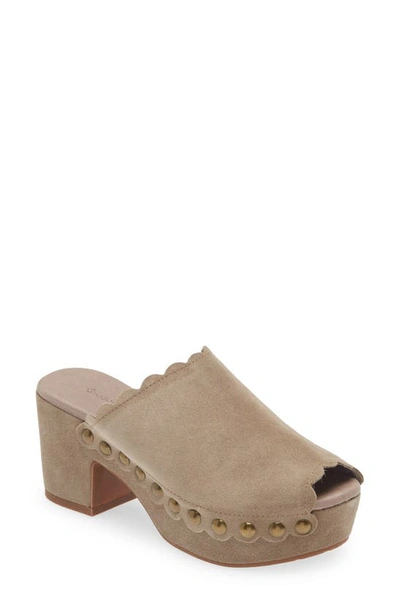 Shop Chocolat Blu Genessis Platform Sandal In Taupe Suede