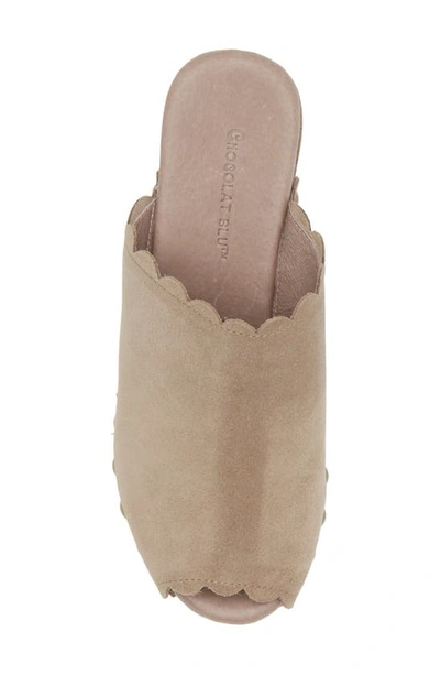 Chocolat Blu Genessis Platform Sandal In Taupe Suede
