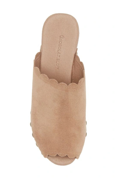 Chocolat Blu Genessis Platform Sandal In Latte Suede