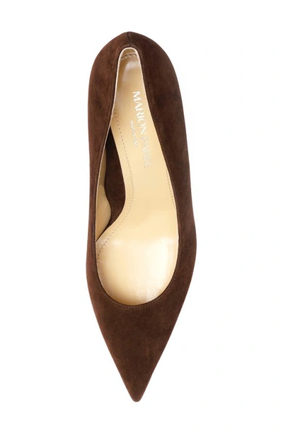 Shop Marion Parke Classic Pointed Toe Pump In Chocolate