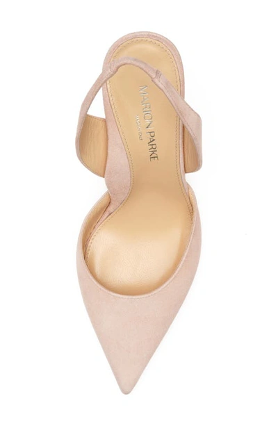 Shop Marion Parke Eleanor Slingback Pointed Toe Pump In Powder
