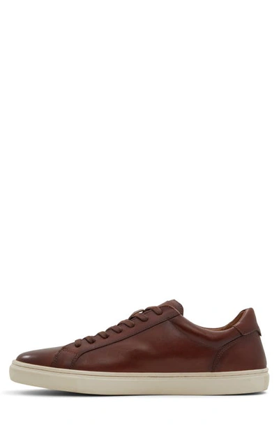 Shop Aldo Classicspec Sneaker In Cognac