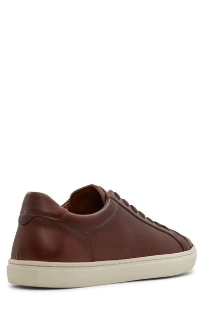 Shop Aldo Classicspec Sneaker In Cognac