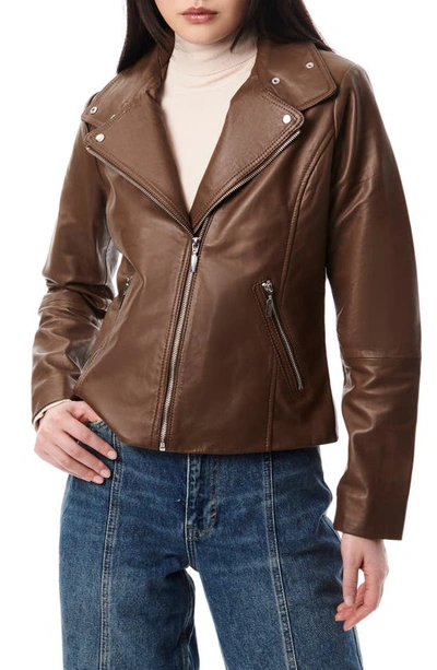 Shop Bernardo Lambskin Leather Moto Jacket In Clay Brown