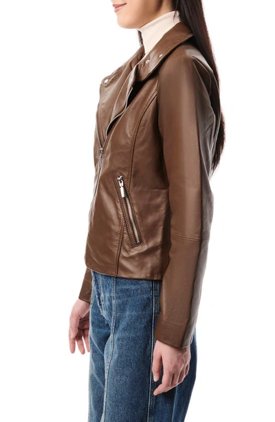 Shop Bernardo Lambskin Leather Moto Jacket In Clay Brown
