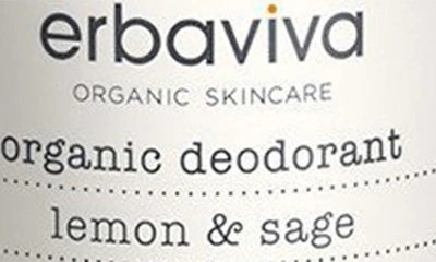 Shop Erbaviva Jasmine & Grapefruit Organic Deodorant Spray, 3.5 oz In Lemon Sage