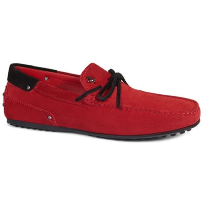 Tod's For Ferrari City Gommino Loafers In Suede In Red/black