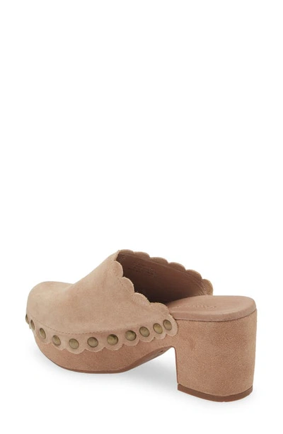 Chocolat Blu Gemini Platform Clog In Latte Suede