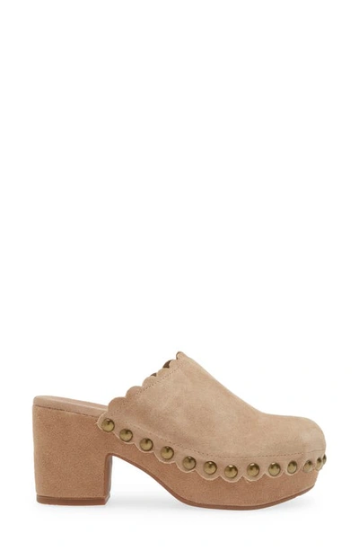 Chocolat Blu Gemini Platform Clog In Latte Suede