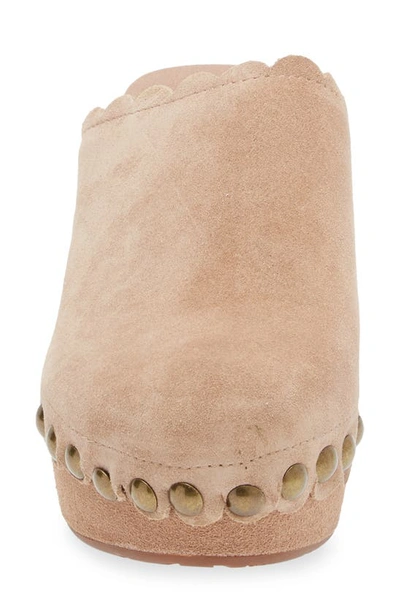 Chocolat Blu Gemini Platform Clog In Latte Suede