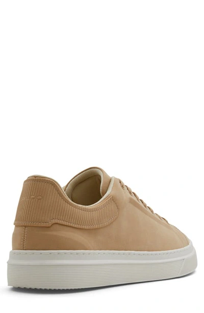 Aldo Ross Sneaker In Other Brown