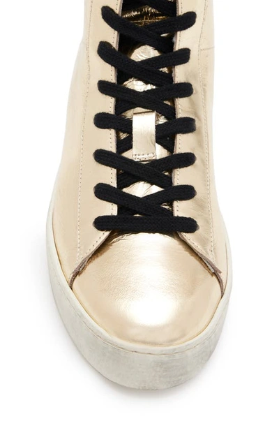 Shop Allsaints Tana Metallic Leather High Top Sneaker In Gold