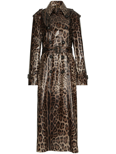 Shop Dolce & Gabbana Leopard-print Belted Trench Coat In Brown