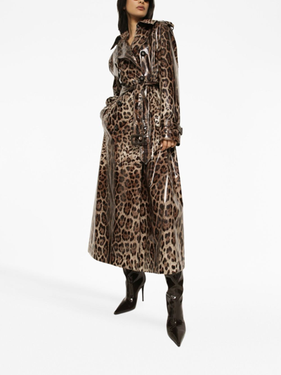 Shop Dolce & Gabbana Leopard-print Belted Trench Coat In Brown