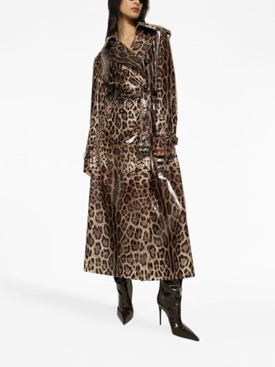 Shop Dolce & Gabbana Leopard-print Belted Trench Coat In Brown