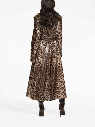 Shop Dolce & Gabbana Leopard-print Belted Trench Coat In Brown