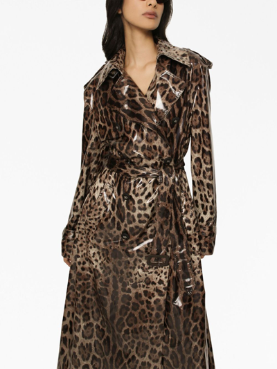 Shop Dolce & Gabbana Leopard-print Belted Trench Coat In Brown