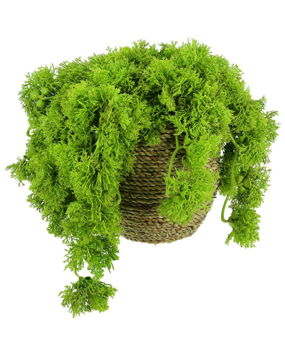 Shop Creative Displays Green Moss Arrangement In Rope Pot