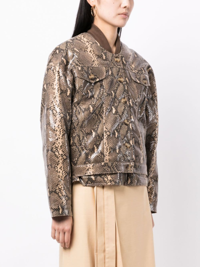 Rejina Pyo Wells Snakeskin-print Bomber Jacket In Brown