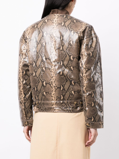 Rejina Pyo Wells Snakeskin-print Bomber Jacket In Brown