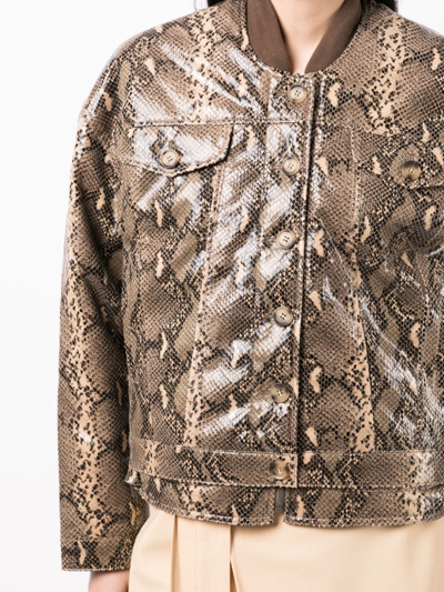 Rejina Pyo Wells Snakeskin-print Bomber Jacket In Brown