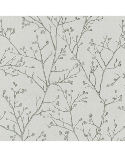 Shop Brewster A-street Prints Koura Platinum Budding Branches Wallpaper In Multi