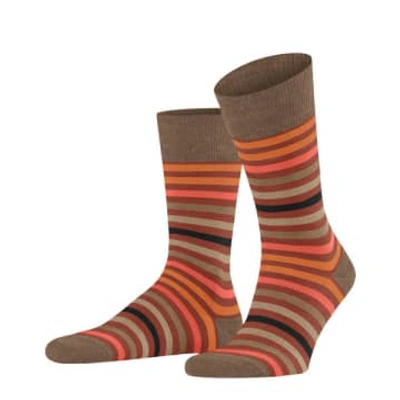 Shop Falke Port Royal Tinted Stripe Socks