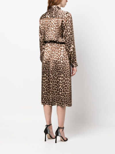 Shop P.a.r.o.s.h Leopard-print Silk Midi Dress In Brown