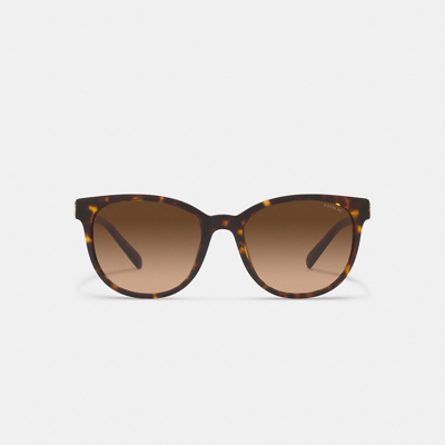 Coach Horse And Carriage Round Sunglasses In Dark Tortoise
