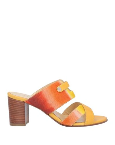 A.testoni Testoni Woman Sandals Mandarin Size 7 Calfskin, Textile Fibers In Mandarin