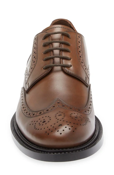 Shop Tod's Brogued Wingtip Derby In Cacao