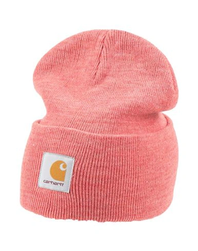 Shop Carhartt Man Hat Coral Size Onesize Acrylic In Red