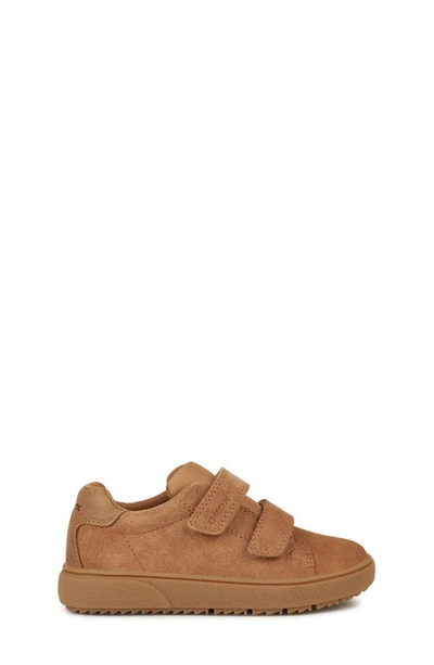 Shop Geox Theleven Sneaker In Caramel
