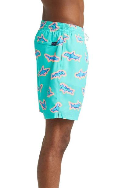 Chubbies Classic 7-inch Swim Trunks In Apex Swimmers