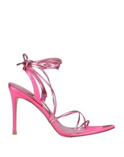 Shop Sophia Webster Woman Sandals Fuchsia Size 6 Textile Fibers In Pink