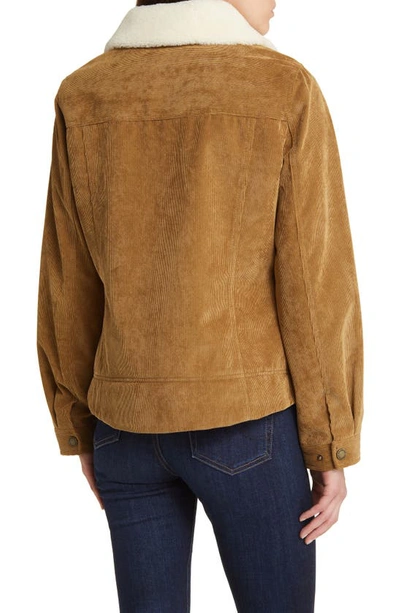 Pendleton Wind River Corduroy Trucker Jacket With Removable High Pile Fleece Collar In Saddle