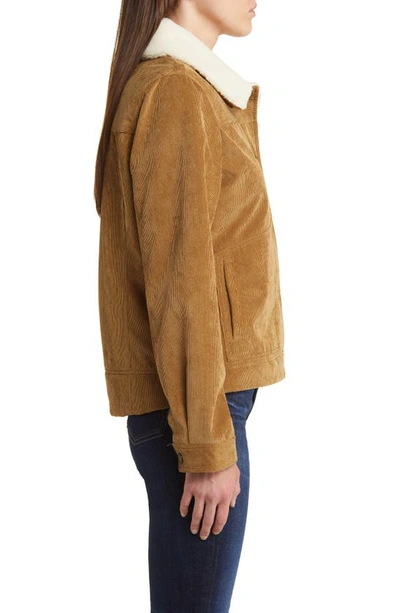 Shop Pendleton Wind River Corduroy Trucker Jacket With Removable High Pile Fleece Collar In Saddle